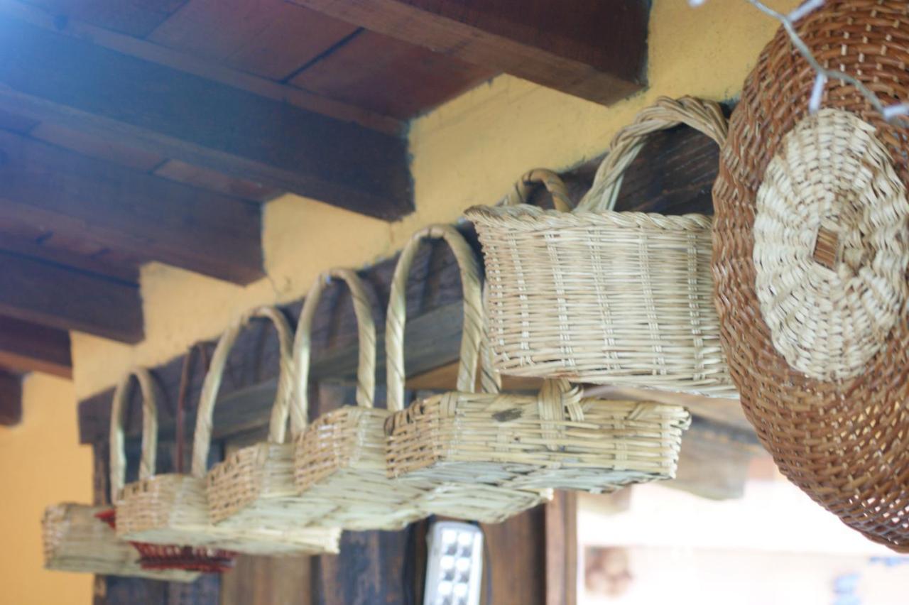 فالي دي برافو Posada Del Bosque المظهر الخارجي الصورة